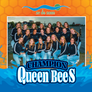 CHAMPION QUEEN BEES